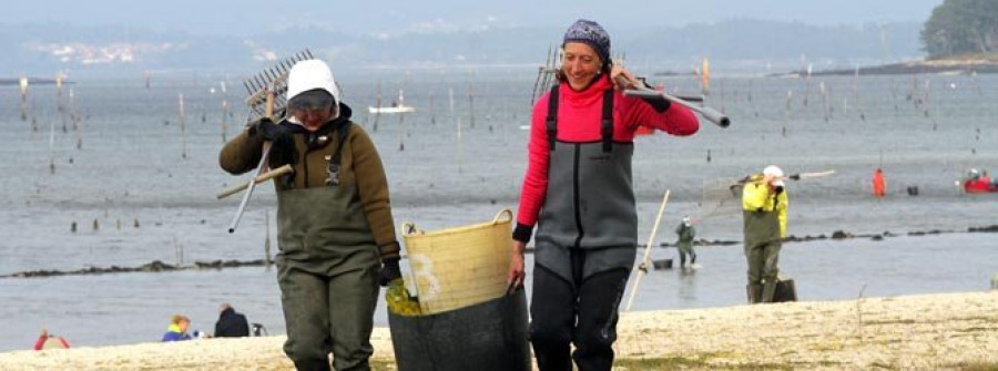 La almeja japónica salva “in extremis” la primera jornada de marisqueo en Carril