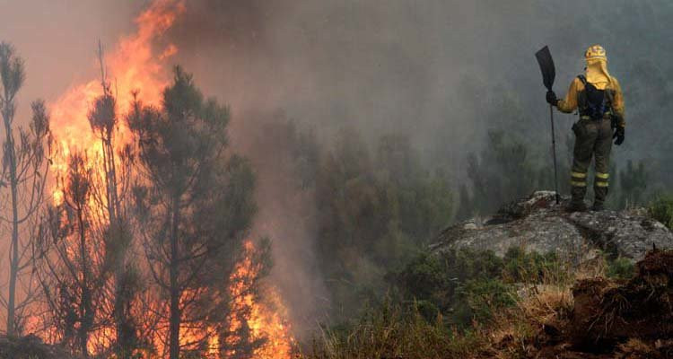 Riveira lanza una campaña para prevenir los incendios forestales