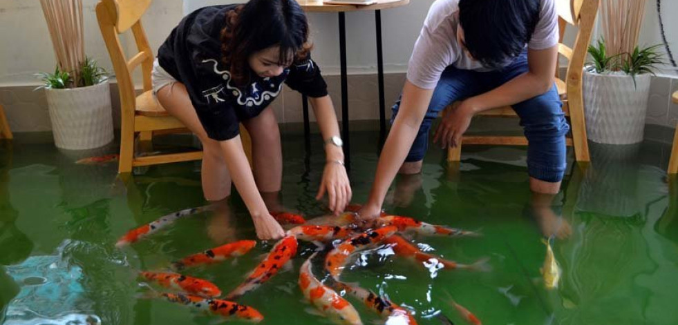 La cafetería donde los peces nadan entre las mesas