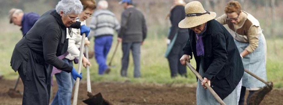 Pequeños y mayores se unen para mantener vivo el trabajo de cultivo del trigo