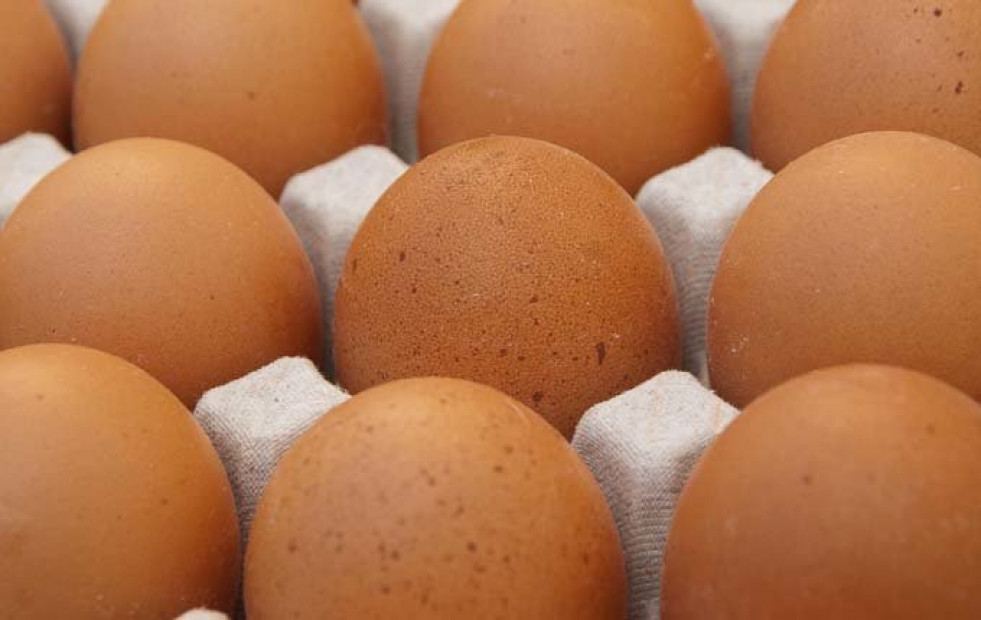Comer un huevo al día no supone ningún riesgo para la salud