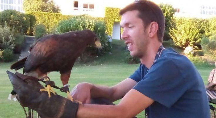 Vuelos disuasorios para ahuyentar gaviotas en A Toxa