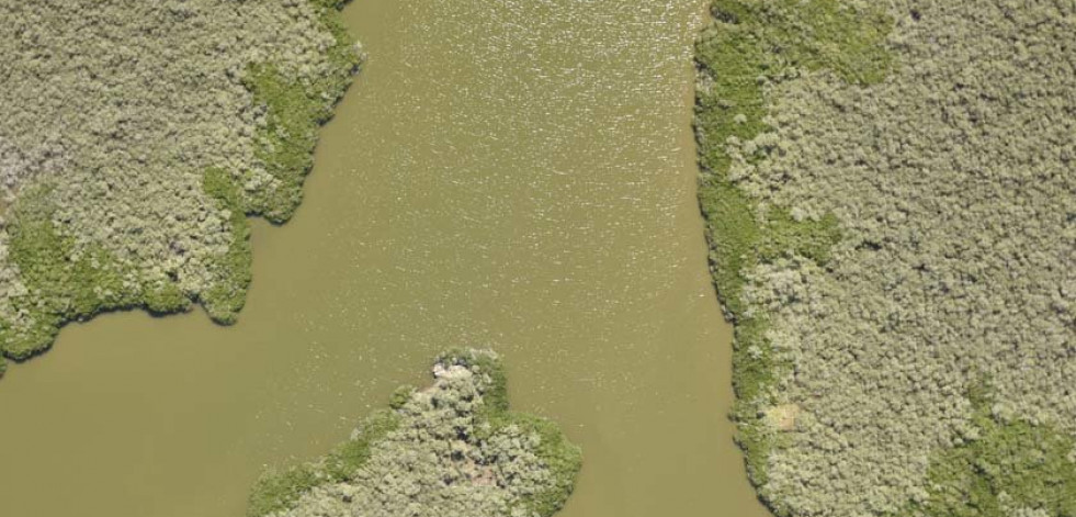 México hace “copias de seguridad” de su biodiversidad