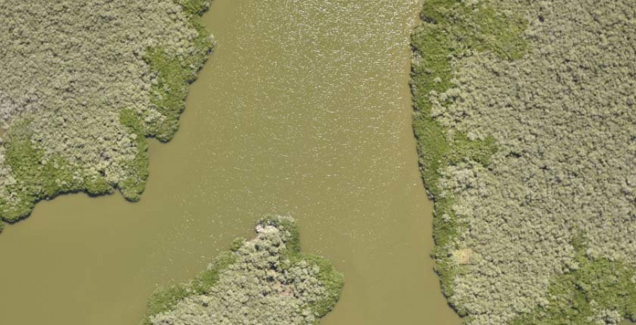 México hace “copias de seguridad” de su biodiversidad