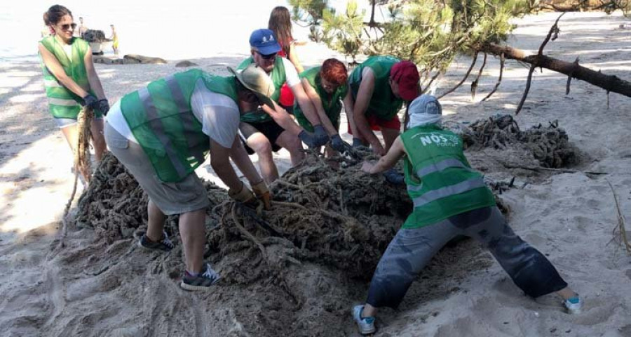 Recogen una tonelada de basura entre O Areal y Cabío