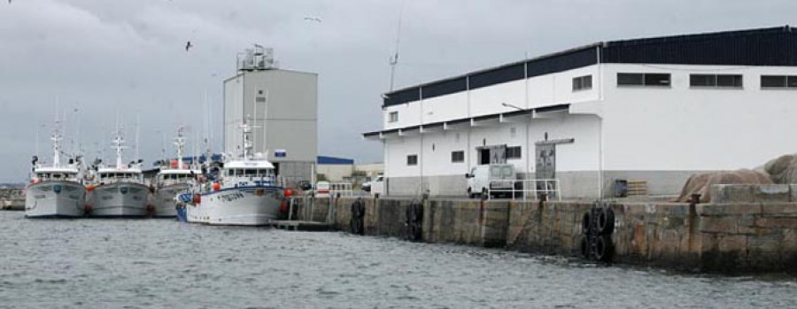 Tiran más de cuatro toneladas de pescado al mar por falta de comprador