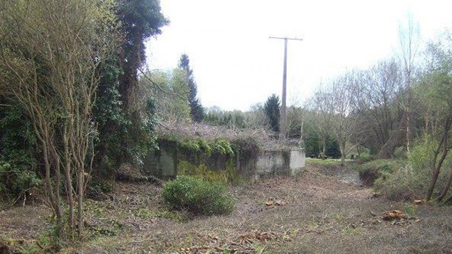 Ratifican una multa de 60.000 euros a Naturgy por talar 28 árboles en un parque de Liáns