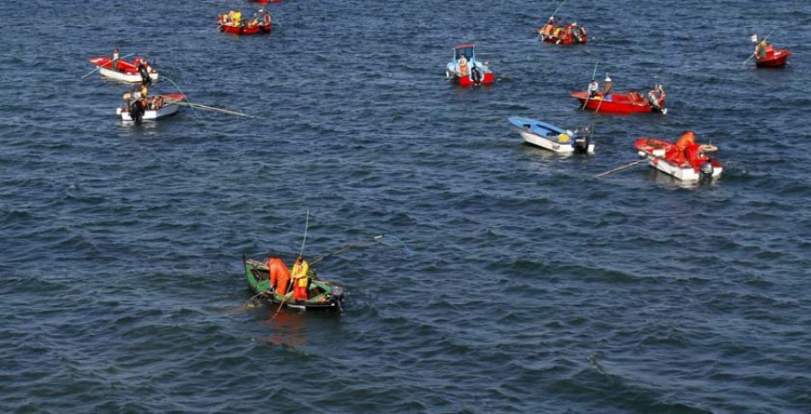 El libre marisqueo alcanza las 16 toneladas en su primera semana, la mitad del 2017