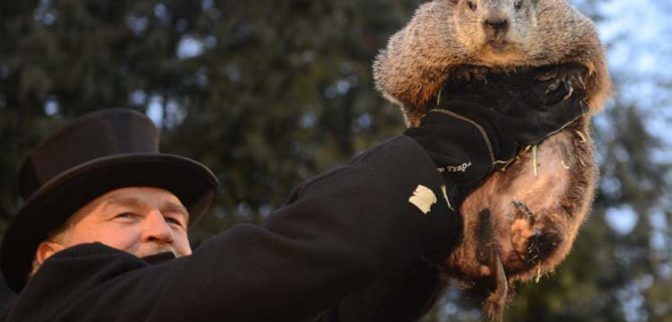 La marmota Phil predice seis semanas más de invierno