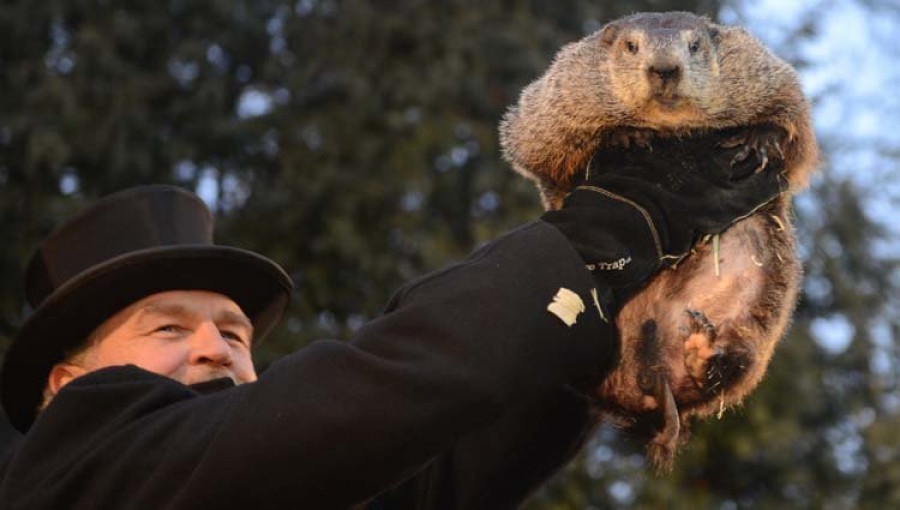 La marmota Phil predice seis semanas más de invierno