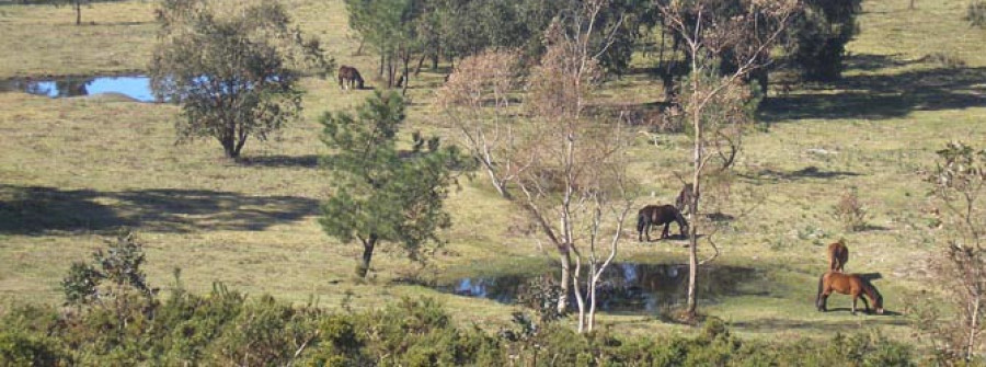 O Fervedoiro denuncia el impacto del parque eólico del Xesteiras en el ecosistema y el patrimonio