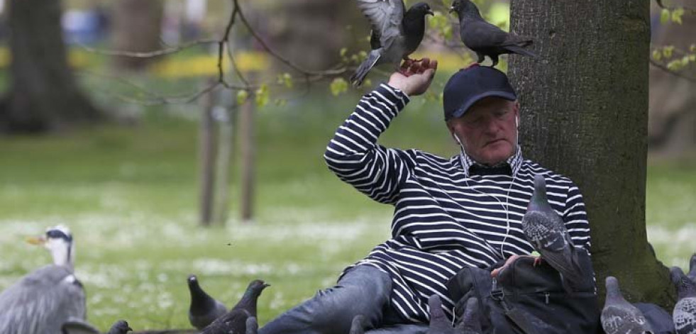 Detectan que los pájaros pueden dormir en vuelo