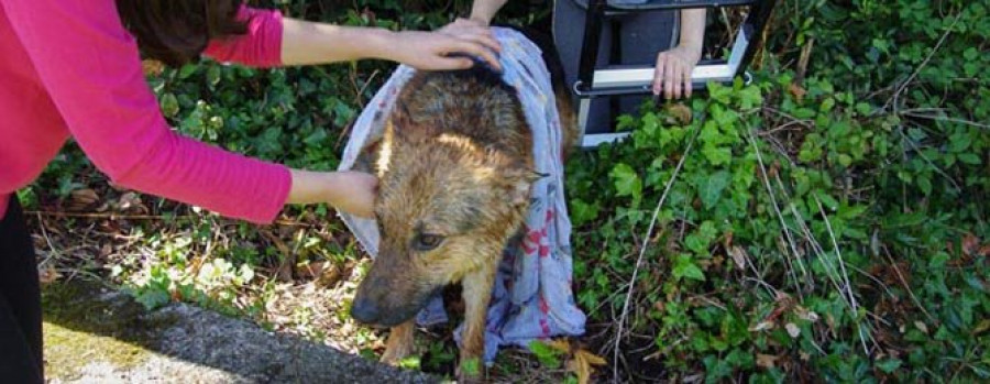 BOIRO - Rescatan a un perro que apareció atrapado en un pozo en Cariño