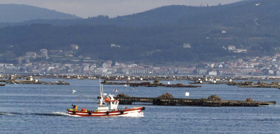 Los depuradores temen una caída importante del mejillón comercial si no hay una solución ya a la crisis de la mejilla