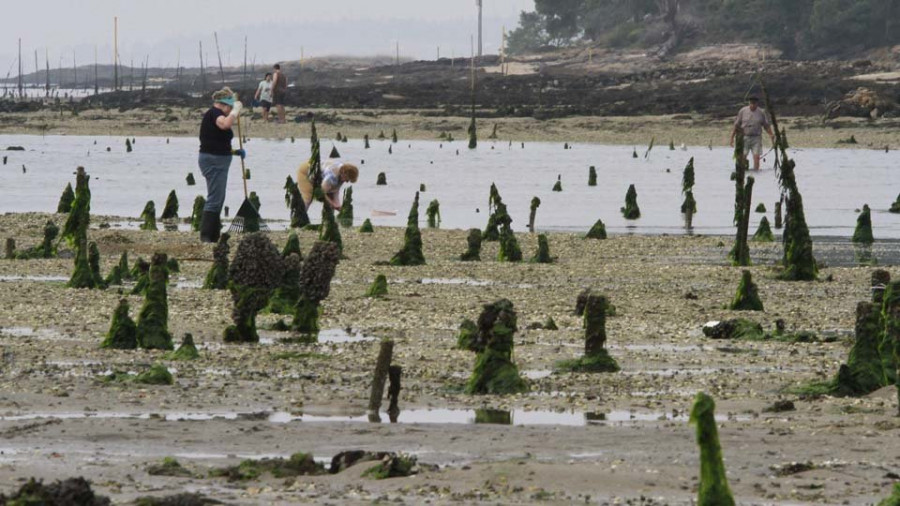 Mar trata de localizar a casi una treintena de titulares de parques de cultivo de Carril