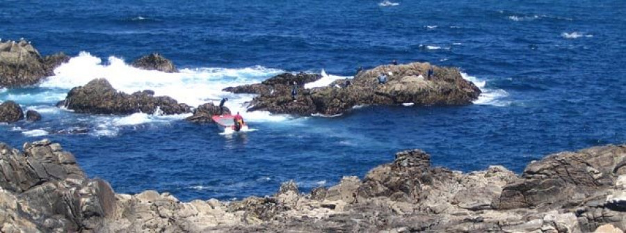 Los percebeiros de O Grove solicitan un cese biológico a Mar ante la escasez de recurso