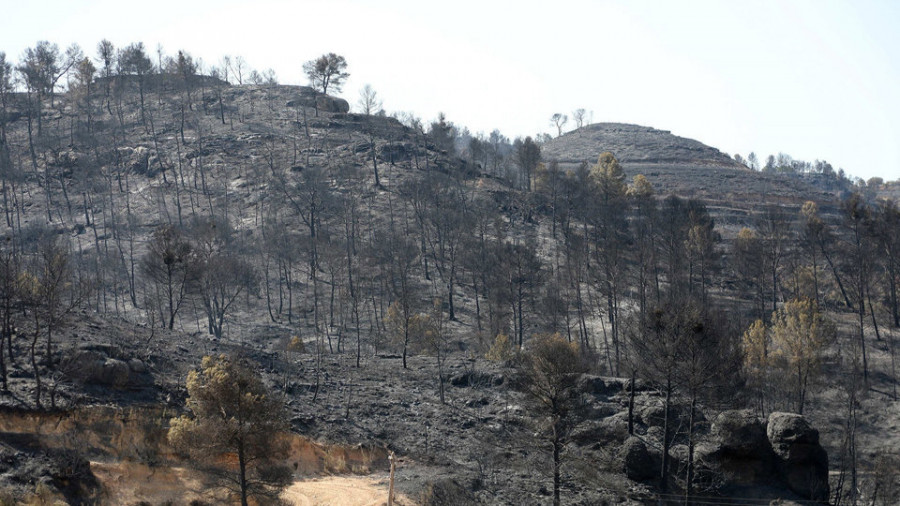 El fuego en La Ribera d’Ebre afecta  a 6.500 hectáreas y sigue sin control