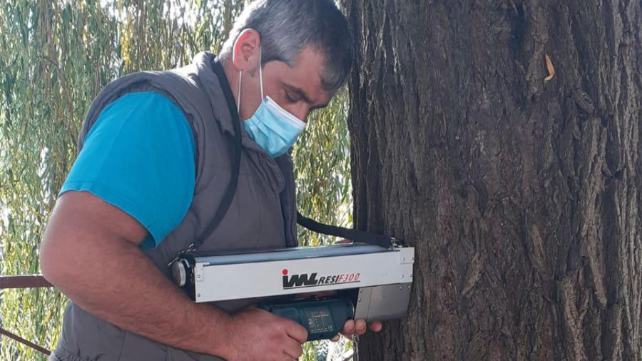 Medio Ambiente examina el estado de los árboles del parque de Celso Emilio Ferreiro