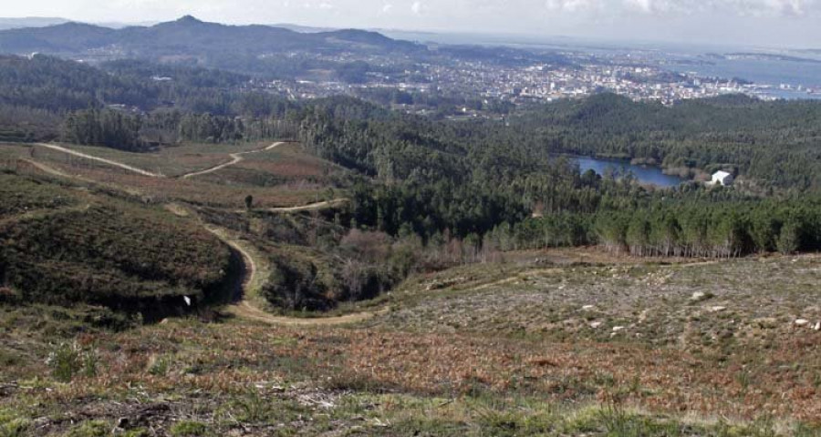 La Organización de Comunidades de Montes advierte sobre la privatización de zonas forestales