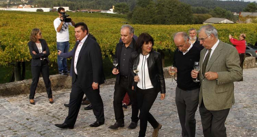 La vendimia de Rías Baixas permitirá elaborar 26 millones de litros de vino