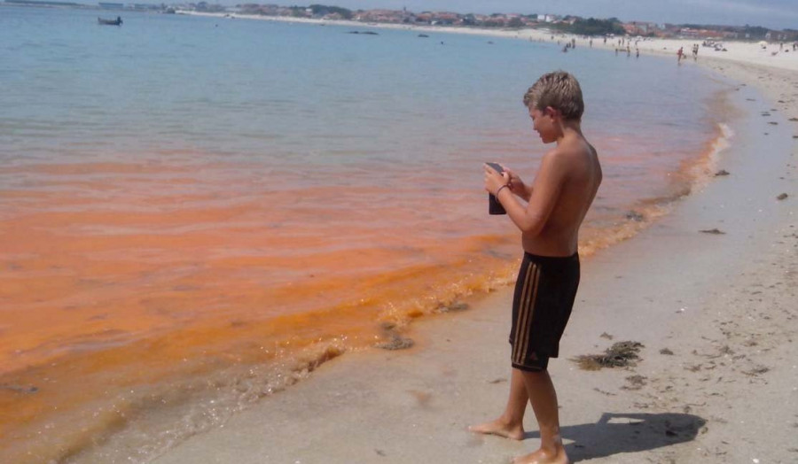 Una amplia mancha de color anaranjado tiñe varias playas de Riveira