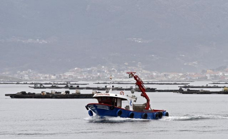 Arde un barco bateeiro en el puerto de A Illa ocasionando daños materiales