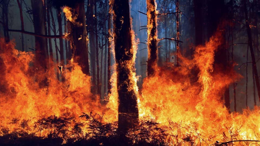 El incendio de Ribeira, controlado tras quemar más de 175 hectáreas
