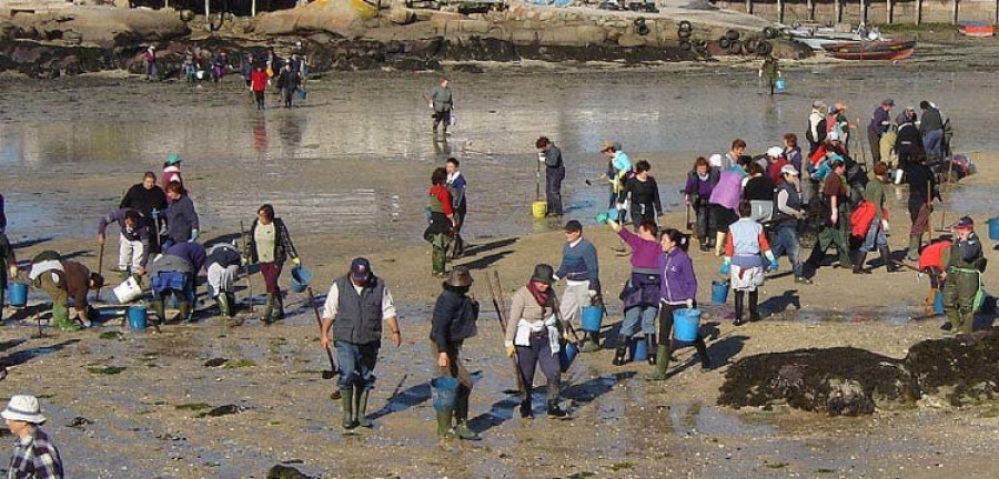 Cacabelos apela a los vecinos para ayudar a “concienciar” sobre las algas a los visitantes