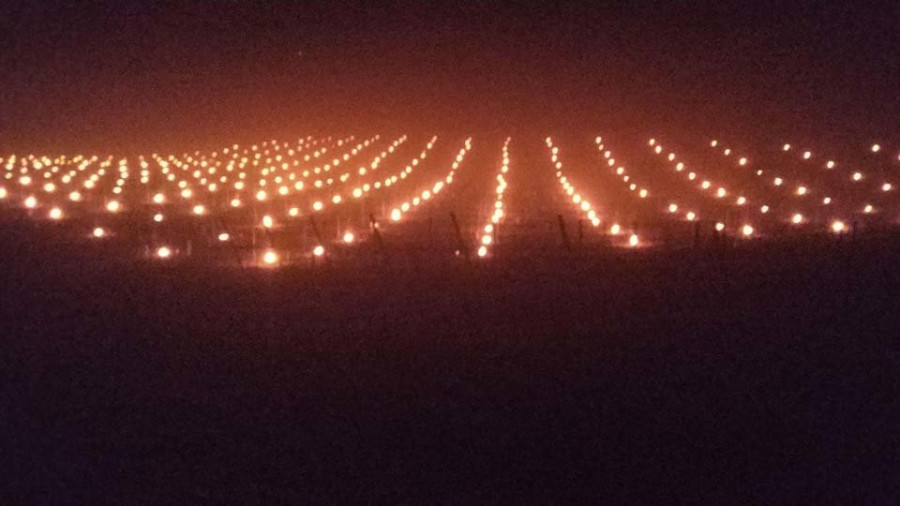 Martín Códax ensaya en sus viñedos de Monterrei el uso de velas contra las heladas