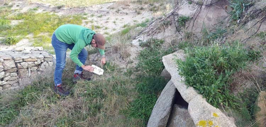 La excavación de 
O Areoso descubre una nueva cista, cerámicas y huesos