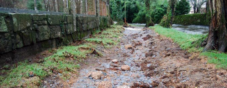 La inundación destroza el paseo fluvial de Cuntis y vuelve a tirar árboles en la senda