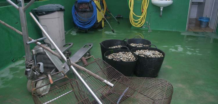 Gardacostas decomisa casi 720 kilos 
de marisco y pescado furtivo en Arousa