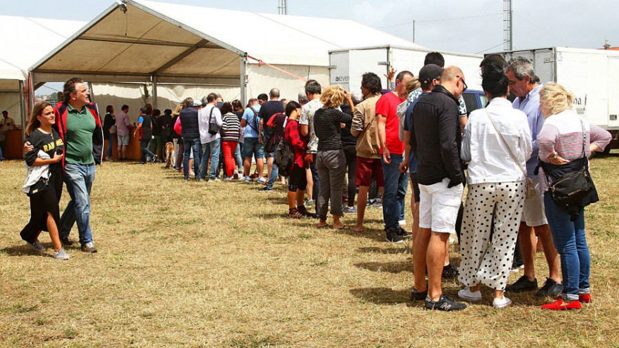 La Festa da Ostra de Noalla marca un nuevo récord con 19.300 bivalvos servidos