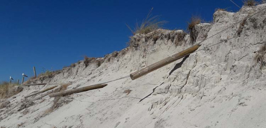 El avance de la erosión causa nuevos daños al vallado dunar de O Areoso