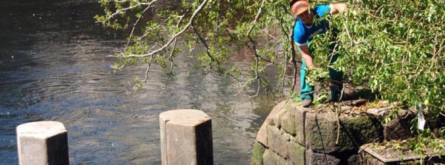 CALDAS-Cortan las ramas de un árbol caído en el río Umia que obstruía las chorreras