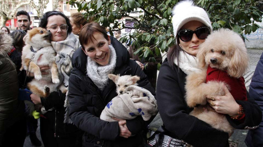 El cura de Vilagarcía bendice a las mascotas en el día de San Antón