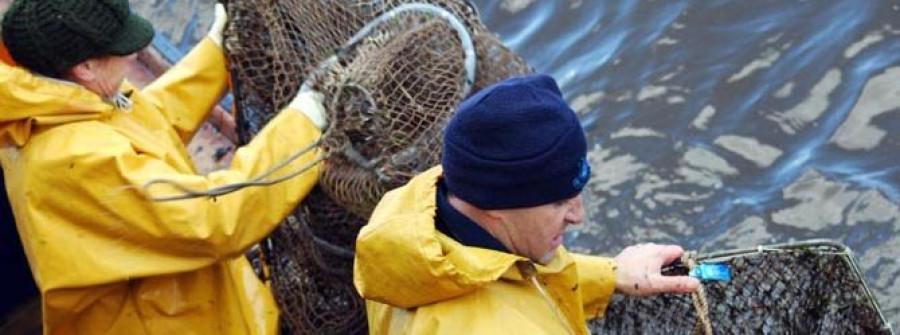 Medio Ambiente achaca a “falta de informes” los retrasos en la anguila