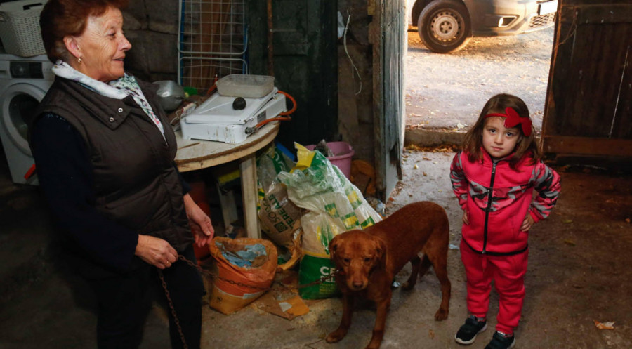 El único perro en la CAAN de Meis desde su apertura en 2013 encuentra por fin un hogar