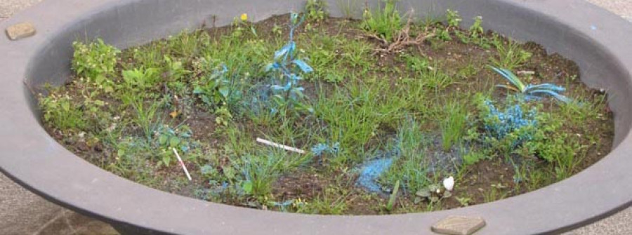 Sabariz urge medidas ante el “abandono” de las jardineras en el centro de la villa