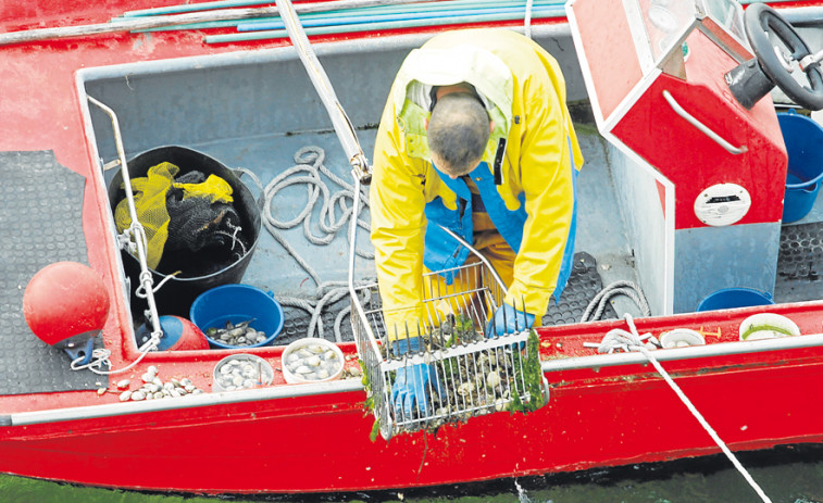 Cofradías de Arousa se rearman para buscar solución al libre marisqueo tras la desaparición de Rañeiros