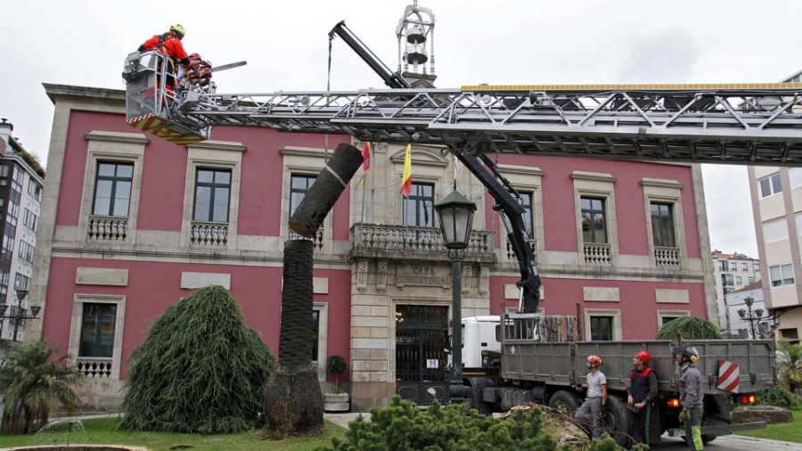 Vilagarcía se queda sin la última palmera que adornaba la entrada del Consistorio