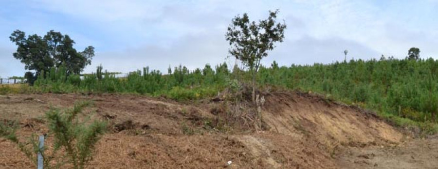 CUNTIS - Unas obras de desbroce dañan una  mámoa de la Edad del Bronce en Bragaña