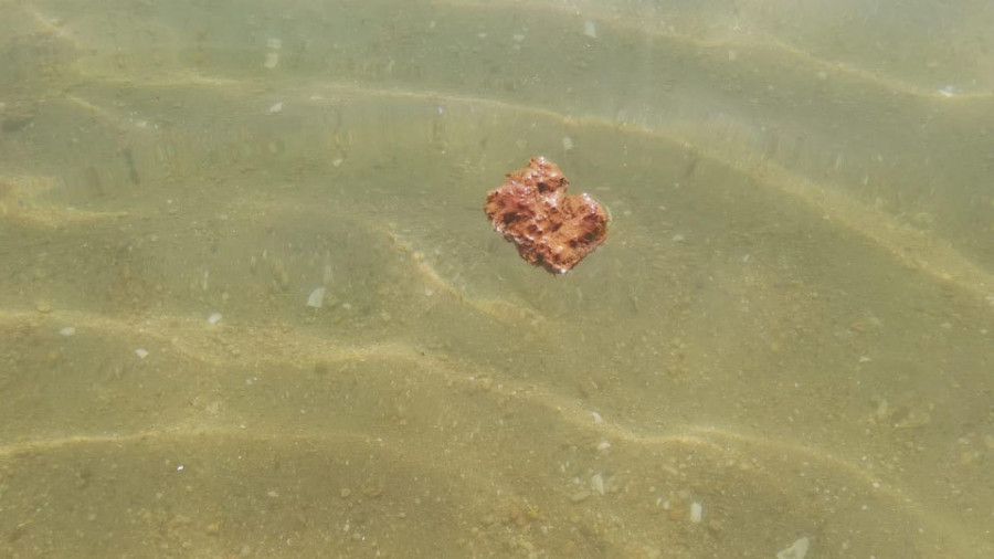 Emerxencias recoge excrementos que aparecieron sobre el mar en A Compostela