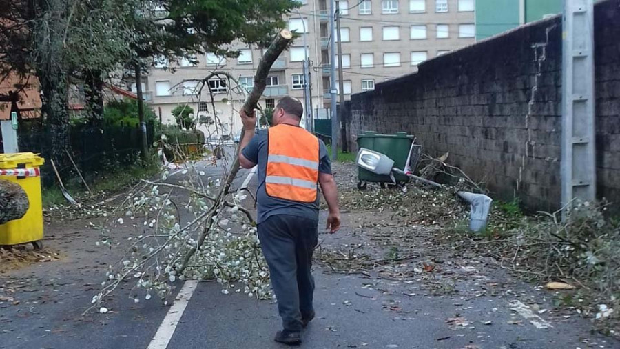 El temporal deja en la comarca un reguero de árboles caídos  y estructuras desprendidas