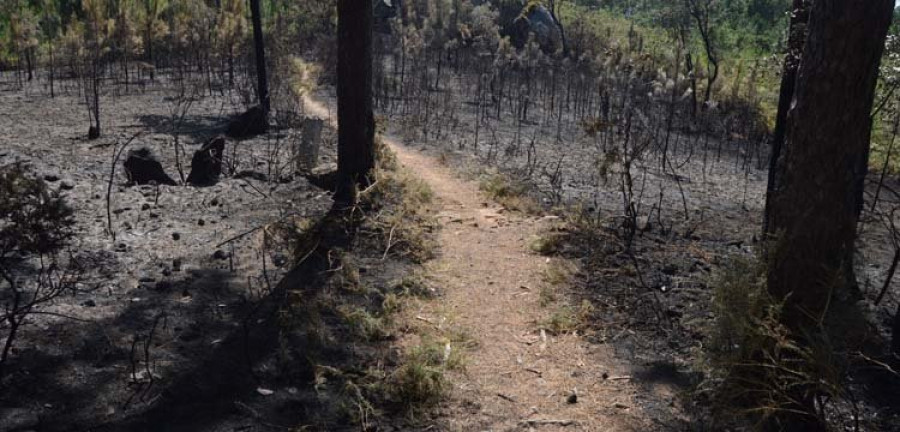 Plantan fuego en zonas diferentes del municipio y en una de ellas arden unos 6.000 metros cuadrados