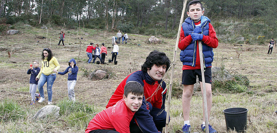 A Illa.- Plantan robles y castaños en Testos en un proyecto para potenciar la flora autóctona