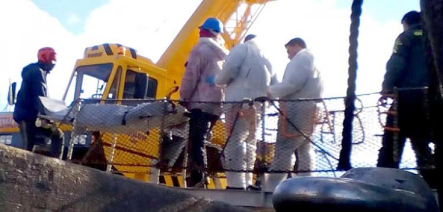 El polizón hallado en la caja de cadena de proa de un pesquero atracado en el muelle murió por asfixia o hipotermia