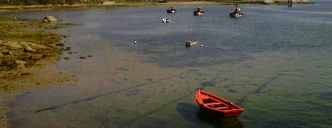 O GROVE - Roban una planeadora en A Toxa y hélices y tanques de combustible en Meloxo y Vilalonga
