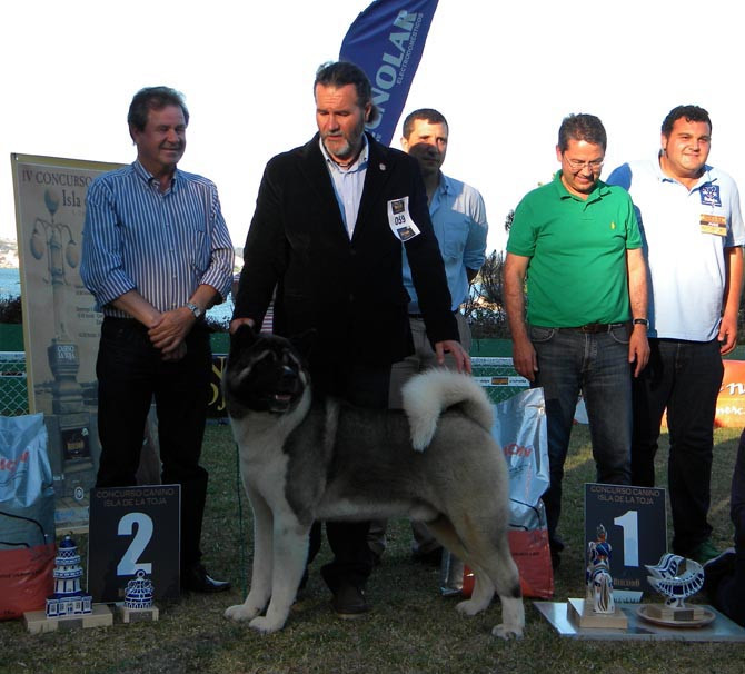 O GROVE-Emgrobes organiza el I Canicross días después del concurso canino