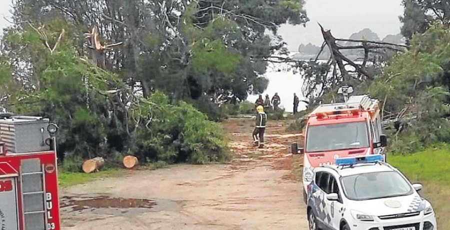 Una manga marina derriba árboles y causa daños a casas y a la red eléctrica en Rianxo